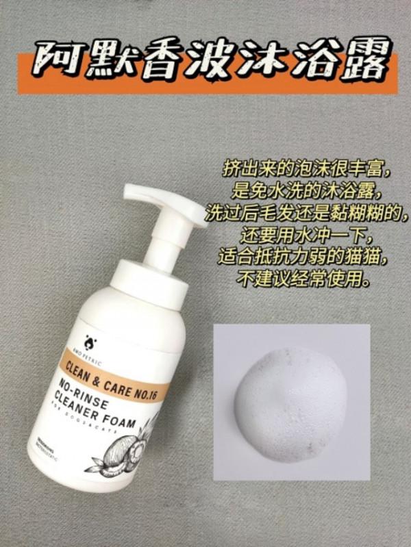 怎麼靠月薪3000養出精緻的小貓咪？