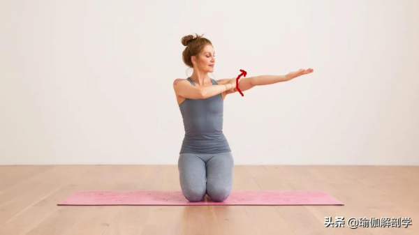練瑜伽,為什麼瑜伽老師總是要你“大臂外旋” 練瑜伽,為什麼瑜伽老師總是要你“大臂外旋”