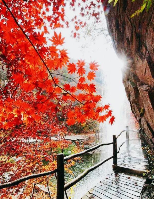 遼寧又發現神秘龍潭，被遊客稱為東北小九寨，人間仙境、天然氧吧