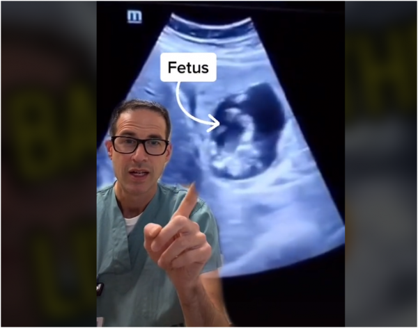 它也可以孕育生命？加拿大女子懷孕後子宮內不見胎兒，醫生一看肝臟驚呆了