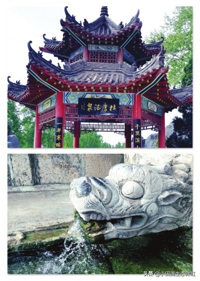 驚奇!千年汝陽杜康泉周邊生長罕見鴛鴦蝦,怎樣能引種成觀賞蝦? 驚奇!千年汝陽杜康泉周邊生長罕見鴛鴦蝦,怎樣能引種成觀賞蝦?