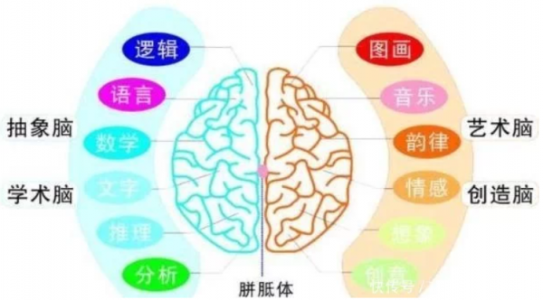 做好這3件事，孩子會更加聰明