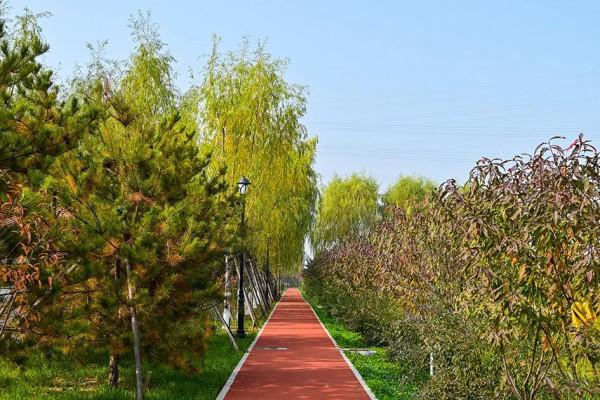 獨一無二！公園裡也能跑火車！京西這處免費的森林公園，值得玩