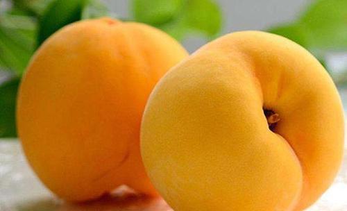 愛吃就賺了！冬天不妨常吃3種食物，洋蔥軟化血管防血栓