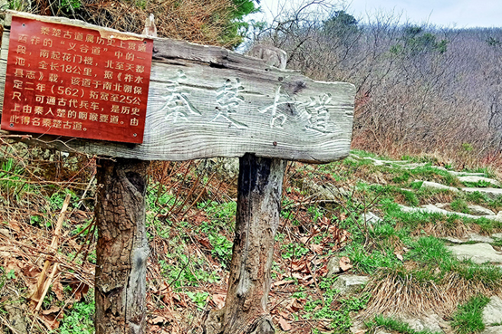 經歷70戰、殲敵150萬，是什麼成就了中國“殺神”？