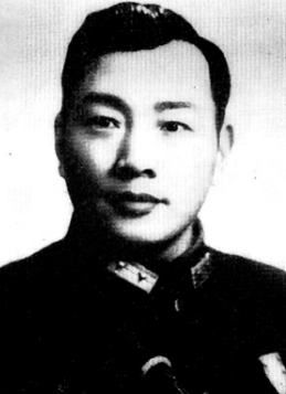 武漢會戰最慘烈戰役，宋希濂與日軍血戰富金山，10天傷亡9成