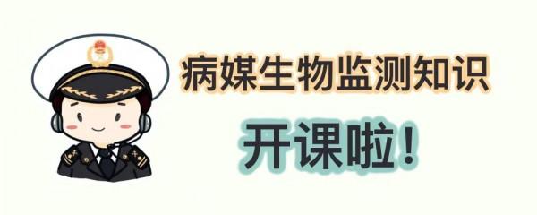 【衛生檢疫】草爬子的自述