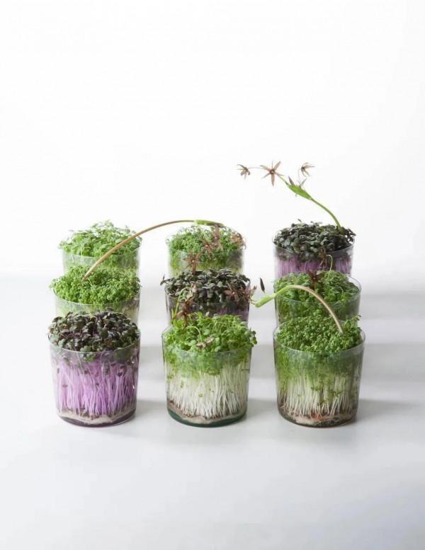 蔬菜水果還能這麼玩？！快讓家裡的廚房靚起來