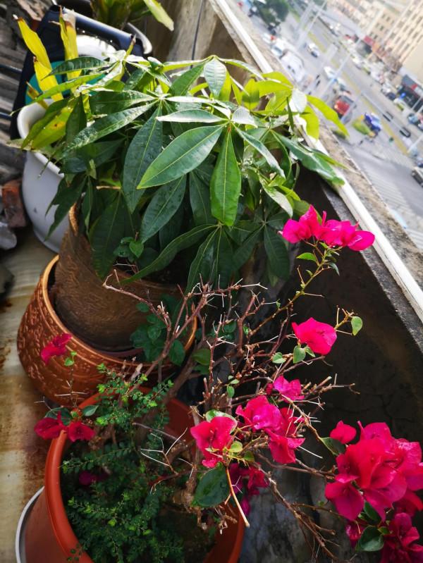 用愛滋養，展現其風采