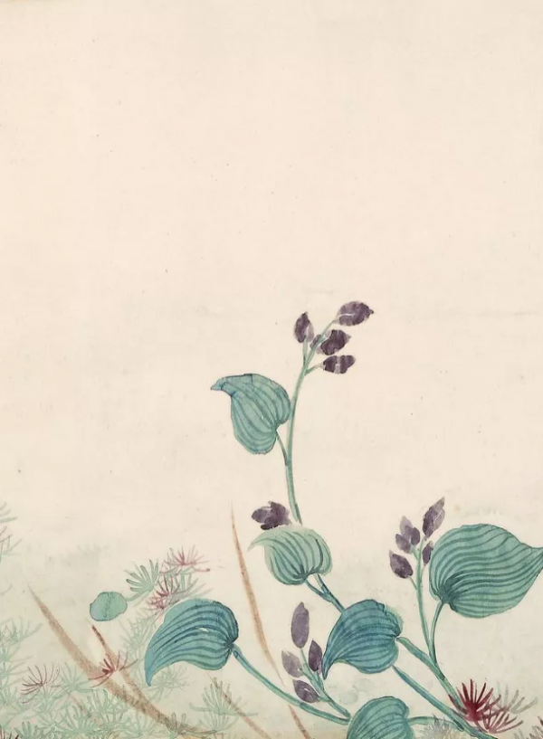 清代女子畫秋日荷塘,美醉了 清代女子畫秋日荷塘,美醉了