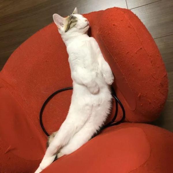 日本網友的魔性簡筆畫,太有靈魂了哈哈哈哈哈 日本網友的魔性簡筆畫,太有靈魂了哈哈哈哈哈