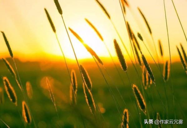 漫談陪伴：意義、方式和價值認同感