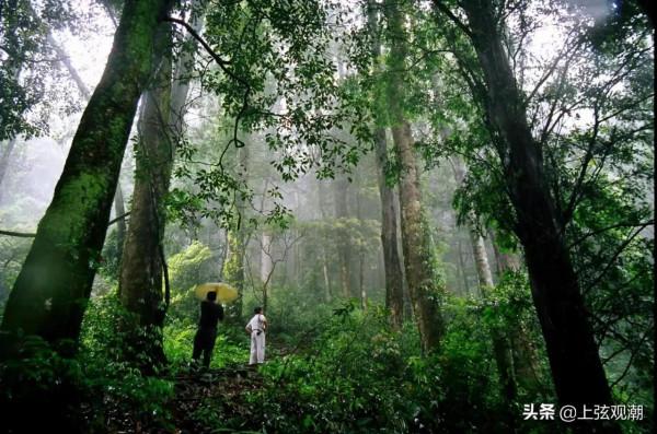 中國虎園&mdash;&mdash;欣賞動物動物世界的好去處