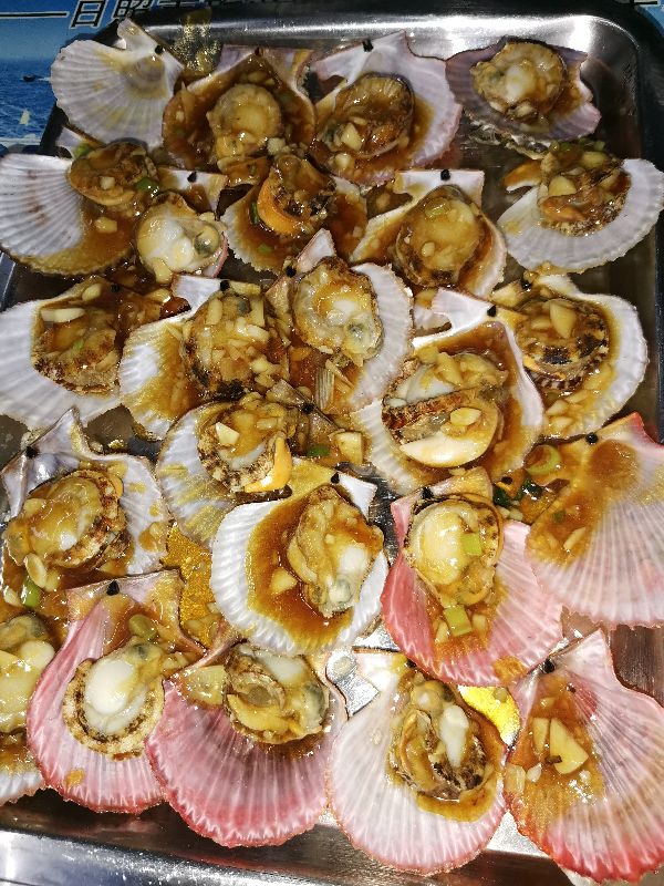 打算去日照遊玩的朋友們看過來 打算去日照遊玩的朋友們看過來