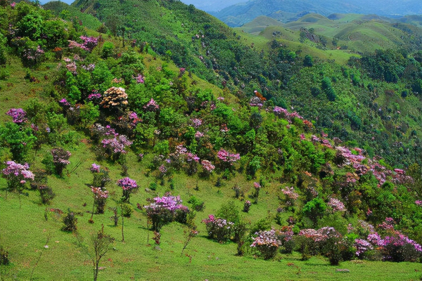 穿越太行天路——大堖村之行 穿越太行天路——大堖村之行