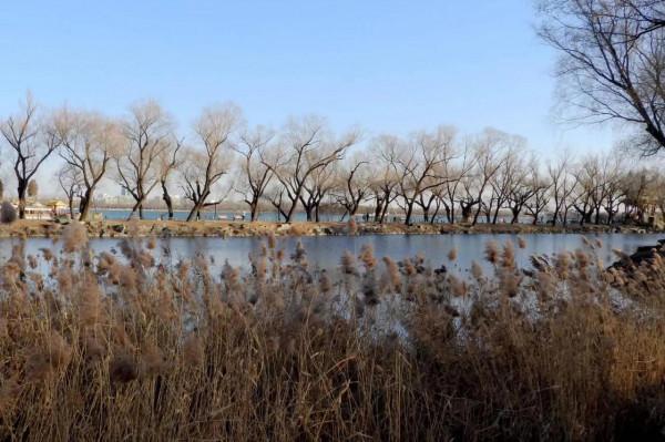 初冬頤和園 西堤觀六橋