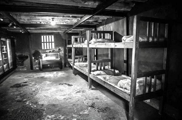 從出生就入獄,8年牢獄生活從未嘗過糖果的味道,犧牲前身中數刀 從出生就入獄,8年牢獄生活從未嘗過糖果的味道,犧牲前身中數刀