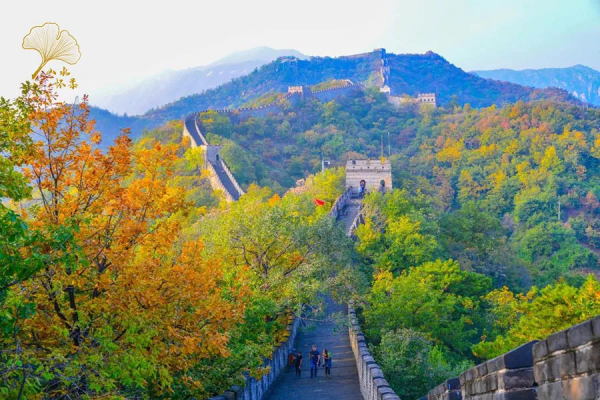 【玩轉懷柔】2021懷柔賞秋攻略出爐！一個字，絕！