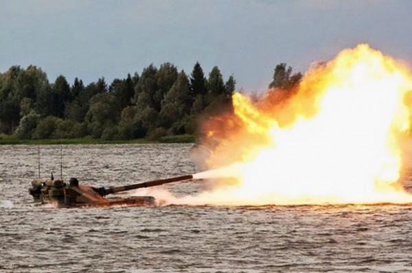 34張罕見的照片,老虎被訓得動都不敢動,小狗指揮主人倒車 34張罕見的照片,老虎被訓得動都不敢動,小狗指揮主人倒車