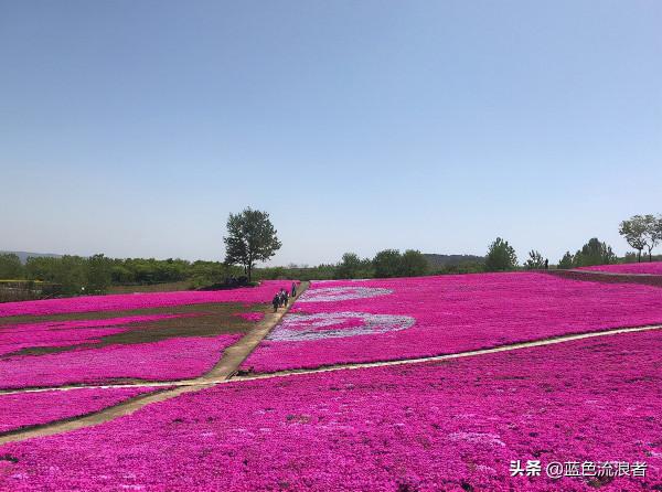 江蘇又一小城走紅,國慶遊客接待量104.62萬,這幾個景點功勞不小 江蘇又一小城走紅,國慶遊客接待量104.62萬,這幾個景點功勞不小
