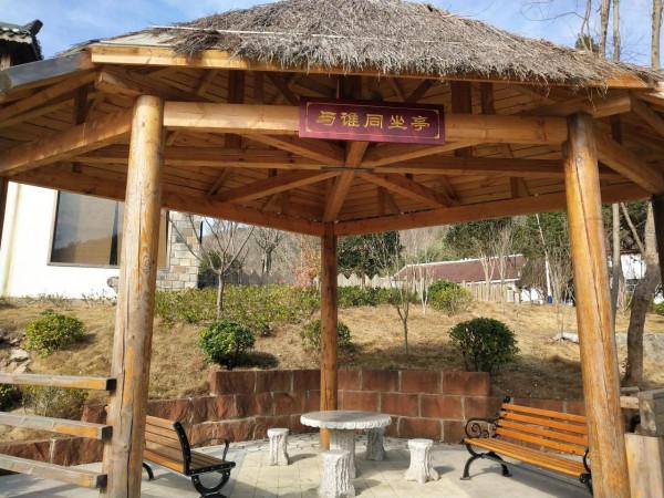 走進京山的向集村