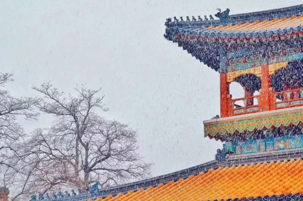 獨來獨往的人，大多是這4種情況