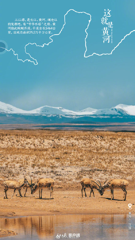 這就是黃河！九圖縱覽黃河有多壯觀