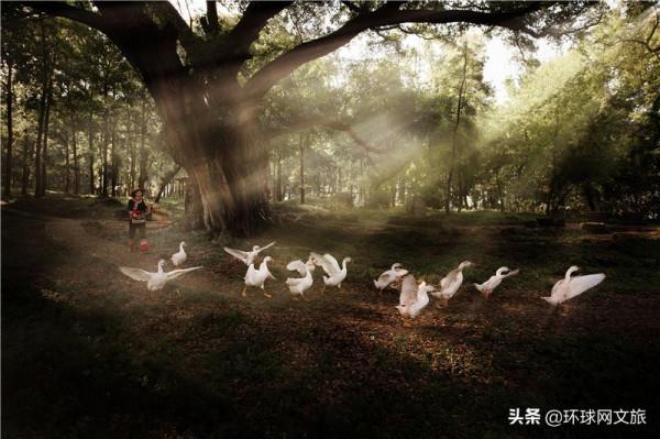 福建霞浦楊家溪：詩中的歸園田居