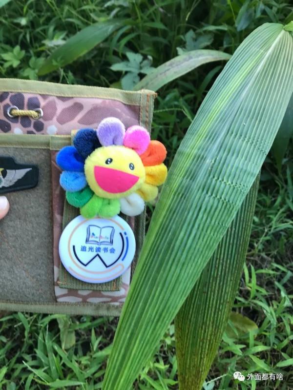 令人驚奇的葉沿——讓孩子學會使用常用工具系列