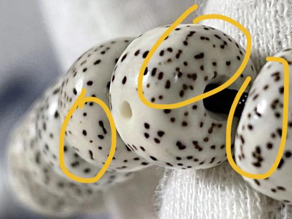 便宜星月菩提如何選?便宜的就不能盤嗎 便宜星月菩提如何選?便宜的就不能盤嗎