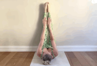 9個瑜伽動作每晚睡前靠牆練,盆腔乾淨了、腹部也緊緻了 9個瑜伽動作每晚睡前靠牆練,盆腔乾淨了、腹部也緊緻了