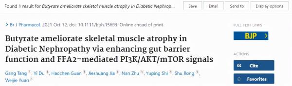 丁酸鹽透過增強腸道屏障功能，改善糖尿病腎病骨骼肌萎縮