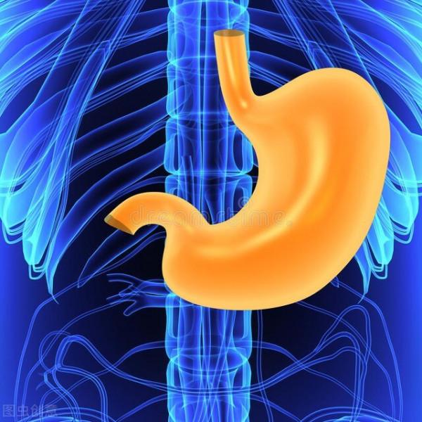 吃得少更有利於長壽？醫生提醒：節食需有度，牢記2個飲食好習慣