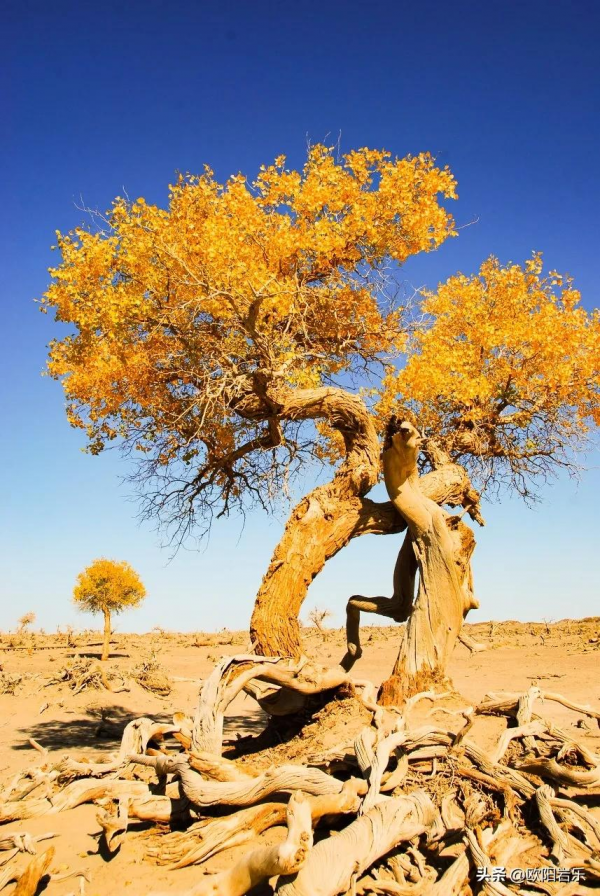 秋天的第一場旅行，你可以去這6個地方。一入秋，他們就變色了…