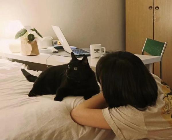 原來，獨居真的會上癮