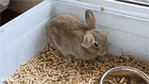 眼力測試！如果你從圖中看到的是一群人，那趕緊去看醫生吧