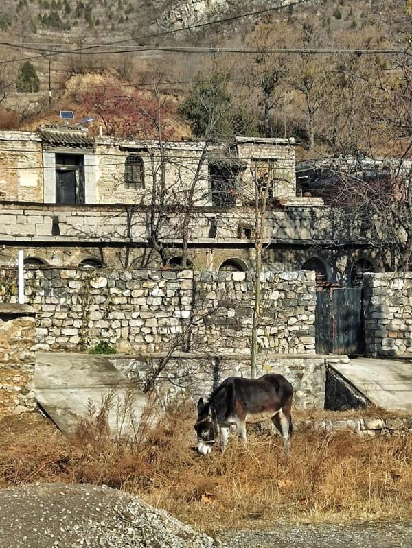 石家莊井陘太行天路自駕遊攻略