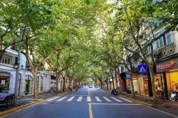 【聲動】出發吧!讓長三角的這些路治癒你 【聲動】出發吧!讓長三角的這些路治癒你