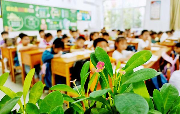 瞧，這是我們溫馨的家