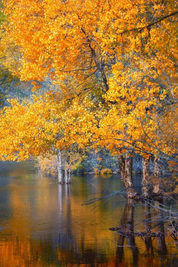 人生一定要去的50個地方!被孤獨星球評為亞洲最佳旅行地的Top1 人生一定要去的50個地方!被孤獨星球評為亞洲最佳旅行地的Top1