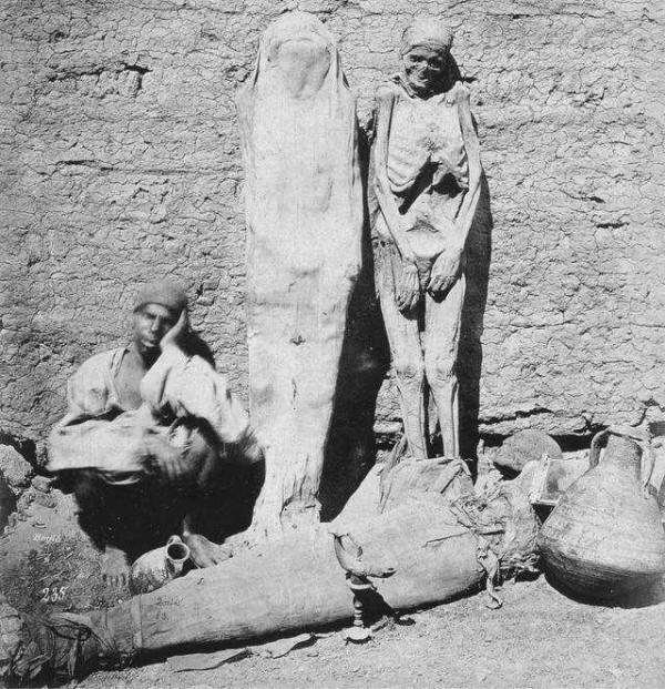 散落人間的15個冷知識，這迷亂的人情風物，讓我的智商中了毒