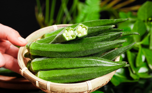 山東小夥種植秋葵創業,將秋葵做成凍乾果蔬,年銷售額達9000萬 山東小夥種植秋葵創業,將秋葵做成凍乾果蔬,年銷售額達9000萬