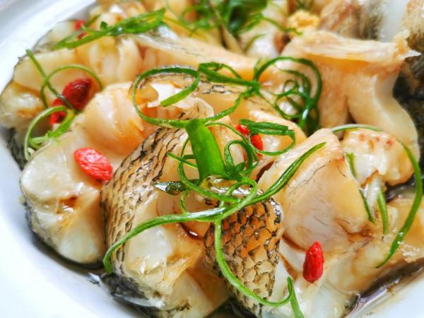 「會吃丨會瘦丨我要減肥」學會5點，再也不擔心聚餐會發胖