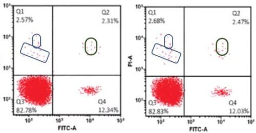 這期學術期刊沒有論文 這期學術期刊沒有論文