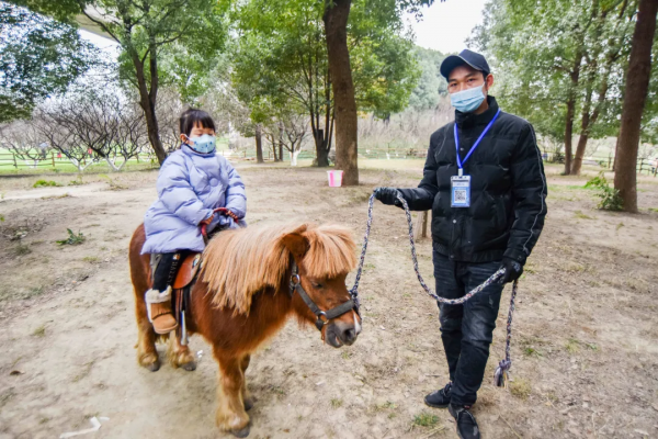 兒童城堡免費耍！還有可愛萌寵和超大草坪，公交直達，遛娃必去