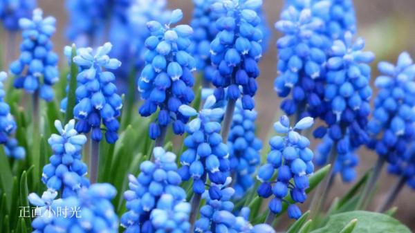 透過衣服顏色看人品 透過衣服顏色看人品