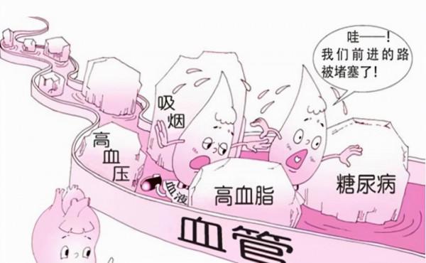 心血管疾病的自我預防和改善