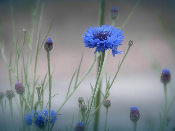 懂得&OpenCurlyDoubleQuote;悶聲發大財&rdquo;的，往往是聰明人