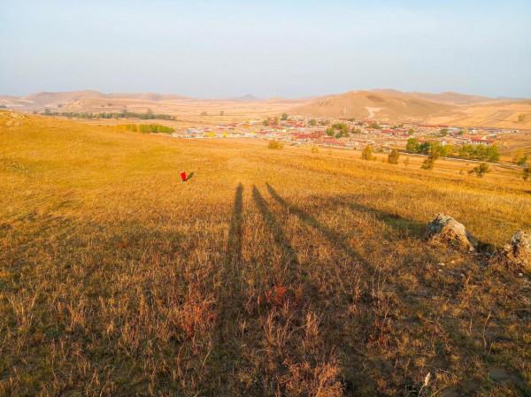 滿目金黃，又想壩上草原了（二）