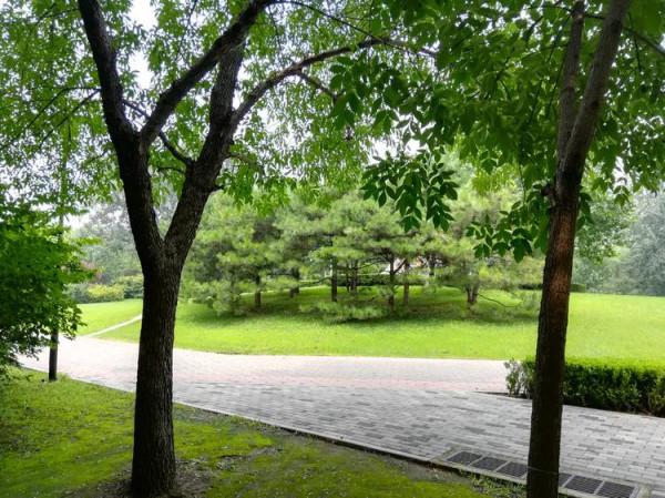 打卡京都:烈日下的朝陽公園 打卡京都:烈日下的朝陽公園